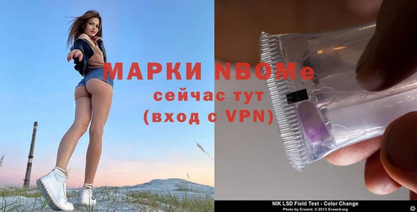 бошки Абаза