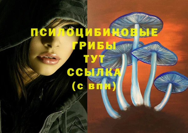 герыч Абинск