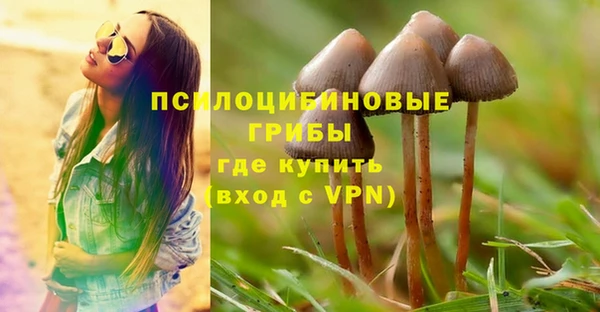 бошки Абаза